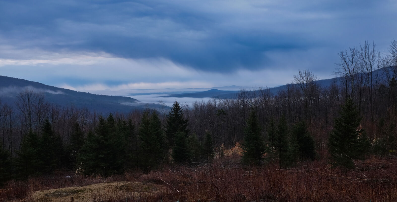 Surrounding nature view